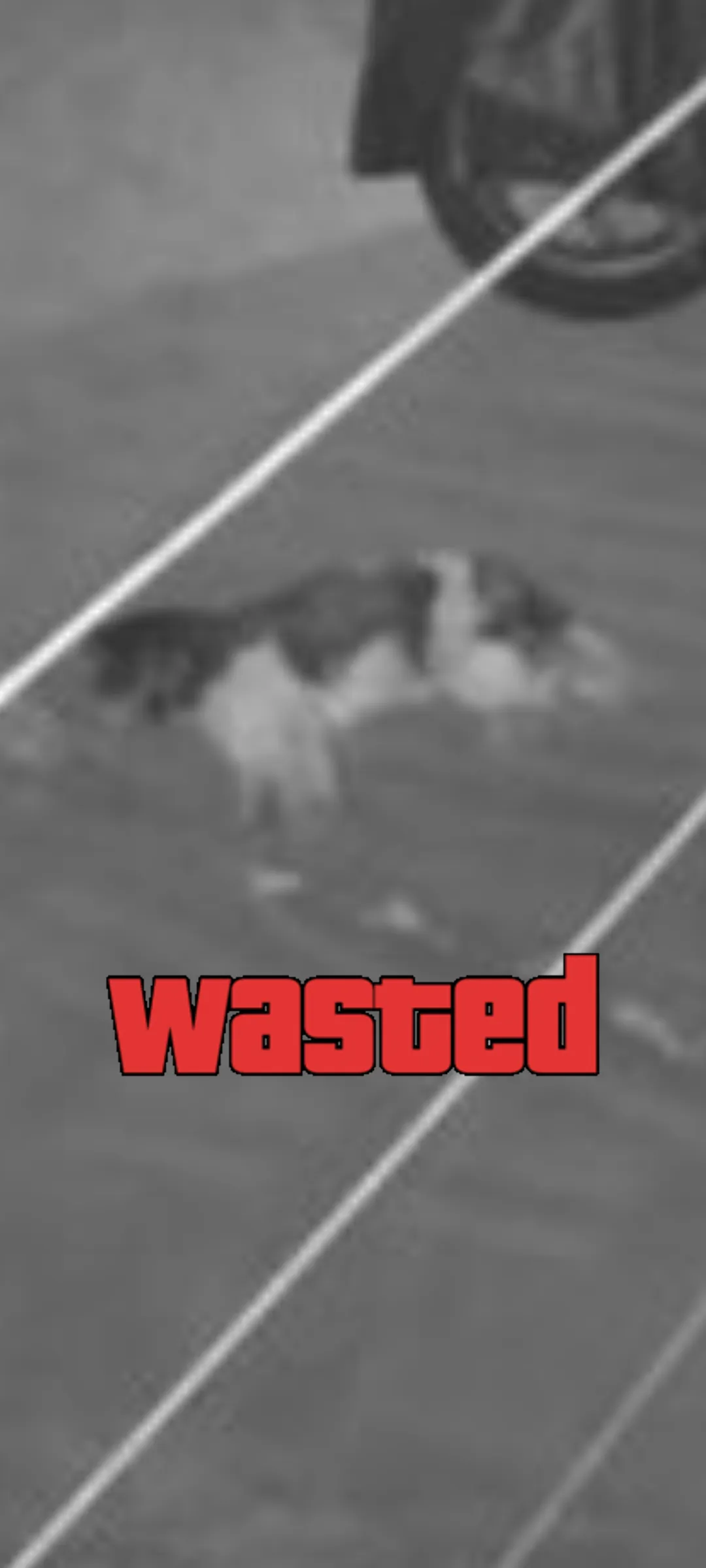 GTA Wasted Meme #34 with the wasted filter applied.