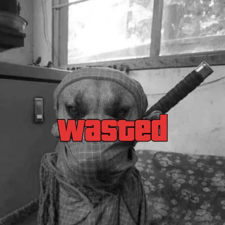 GTA Wasted Meme #39 with the wasted filter applied.