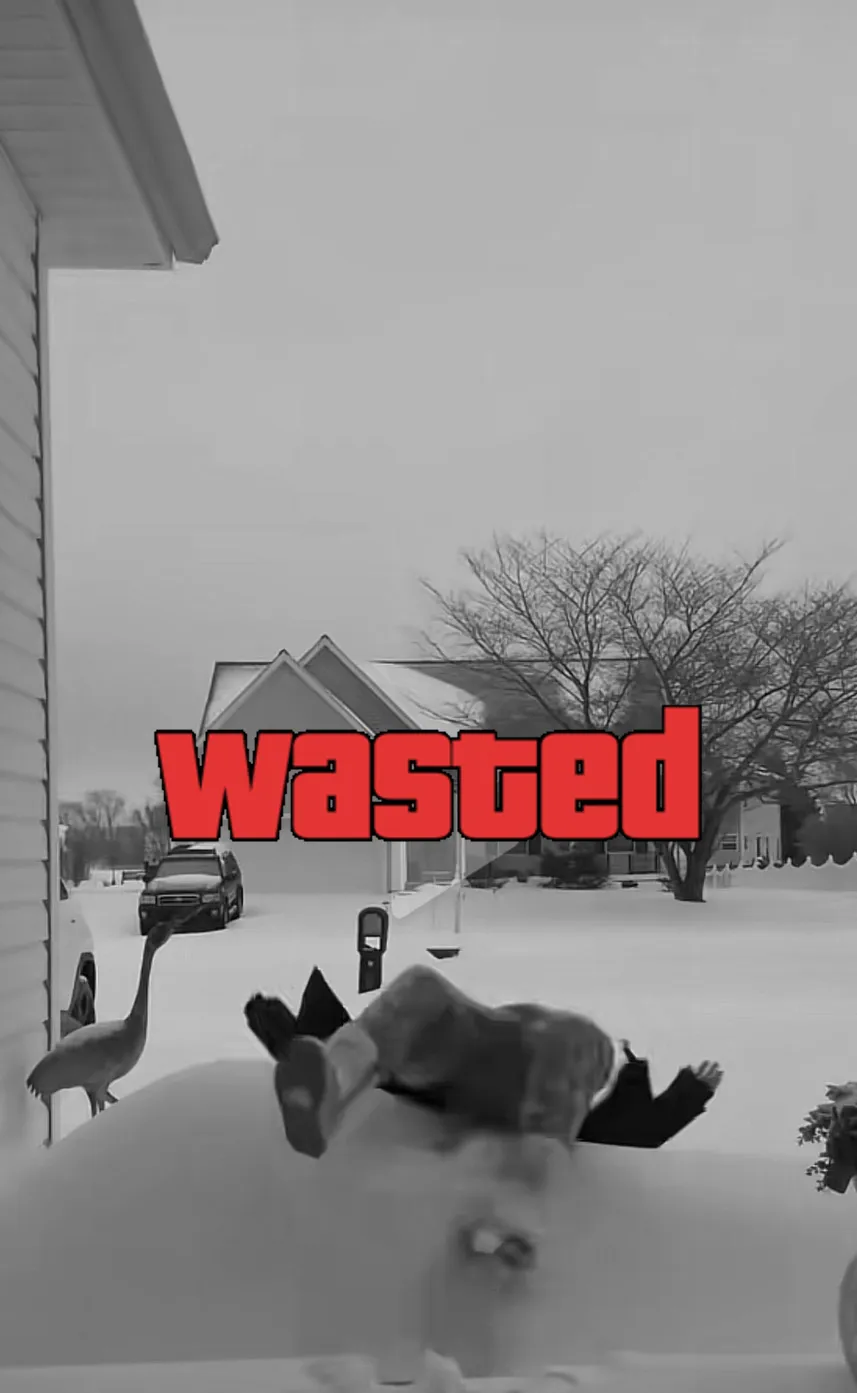 GTA Wasted Meme #48 with the wasted filter applied.