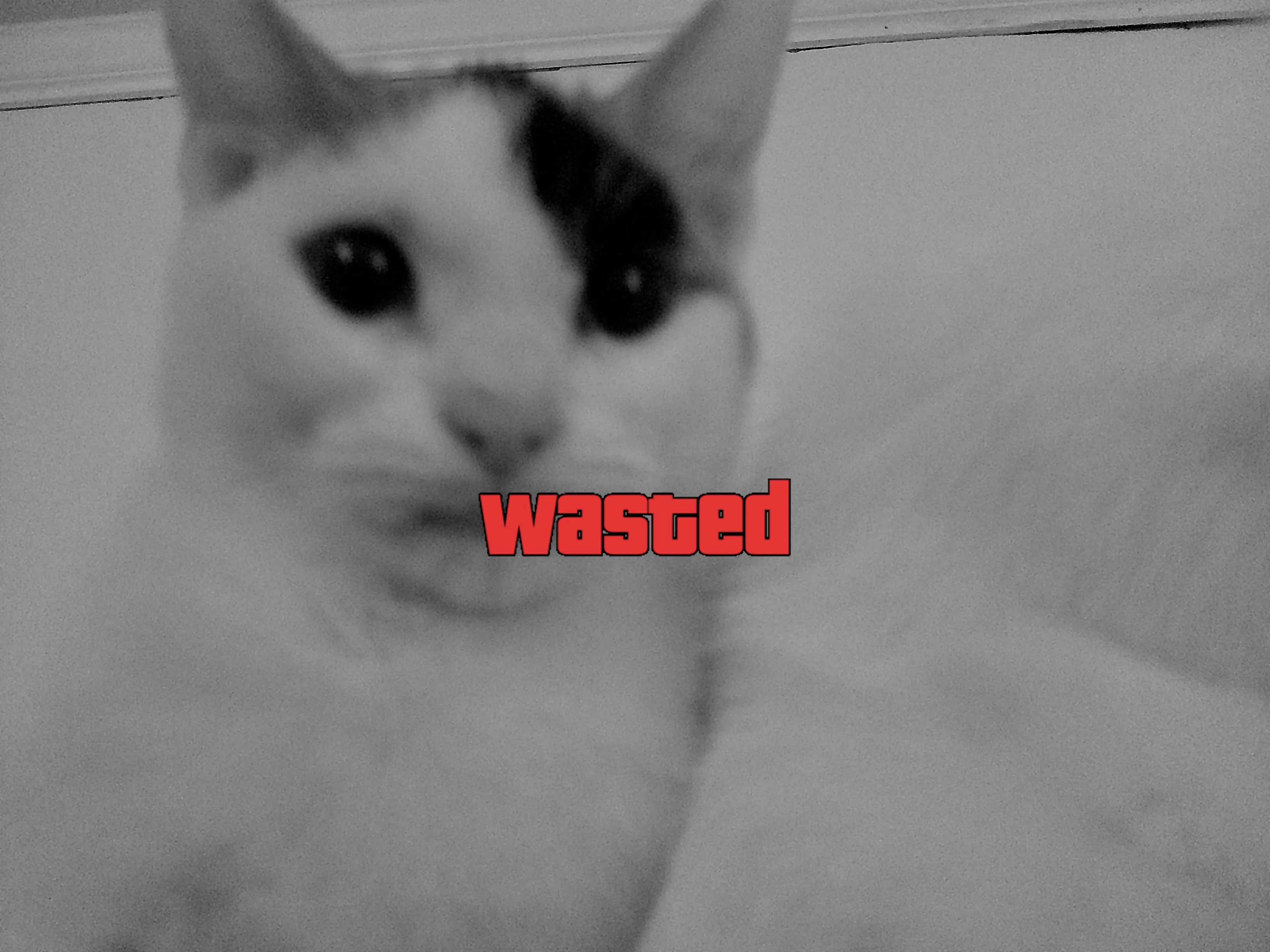 GTA Wasted Meme #52 with the wasted filter applied.