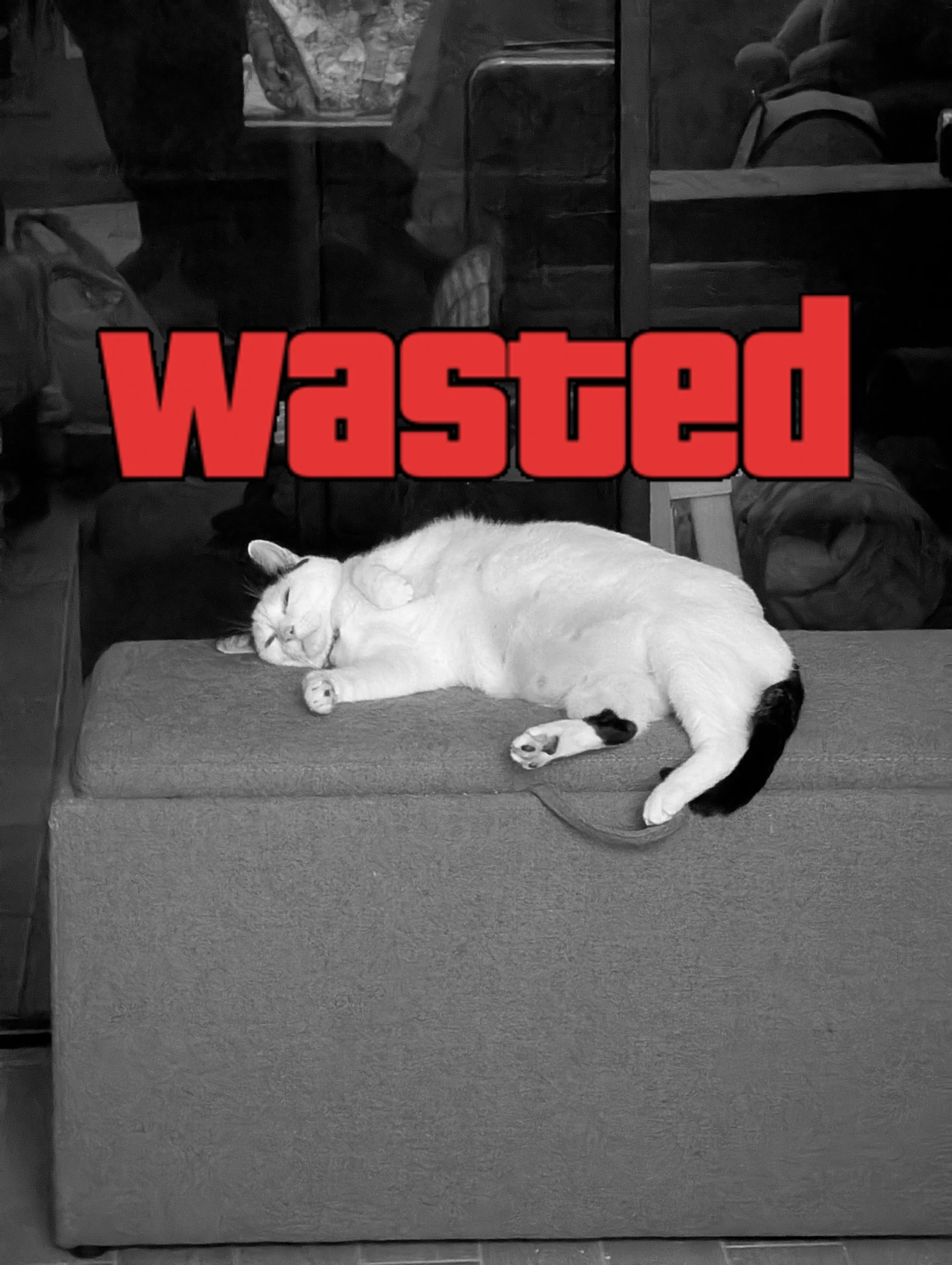 GTA Wasted Meme #69 with the wasted filter applied.