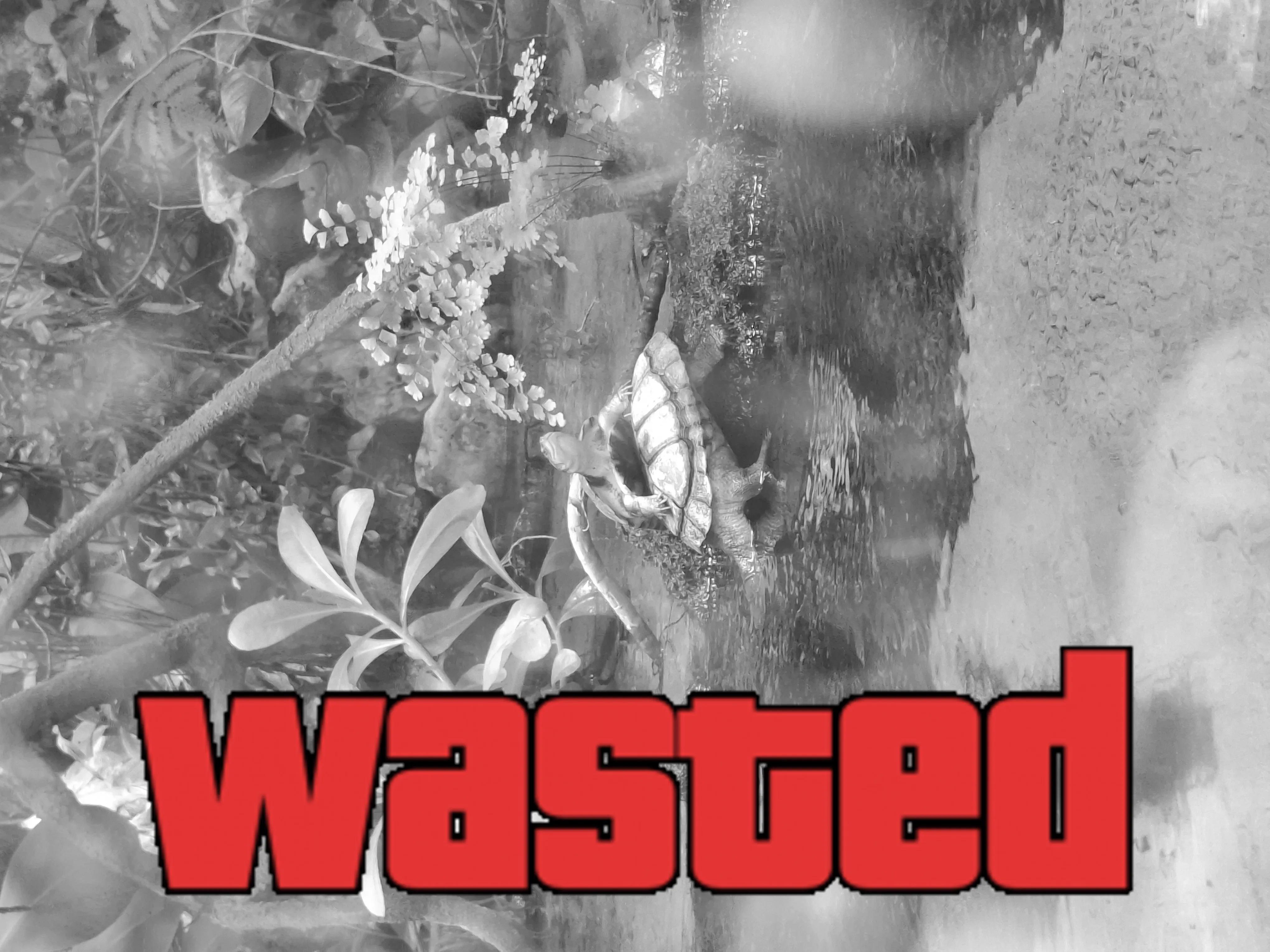 GTA Wasted Meme #88 with the wasted filter applied.