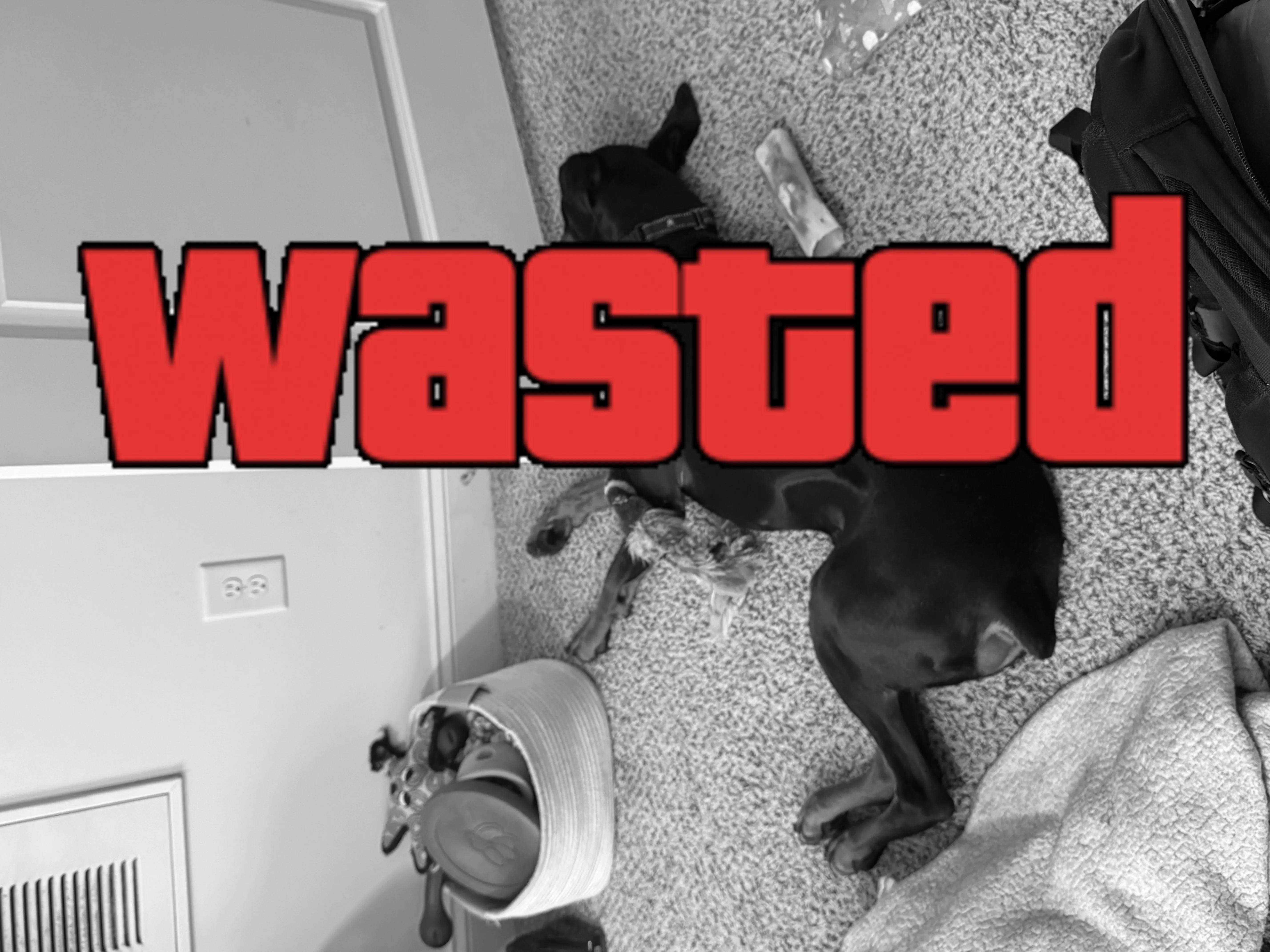 GTA Wasted Meme #89 with the wasted filter applied.