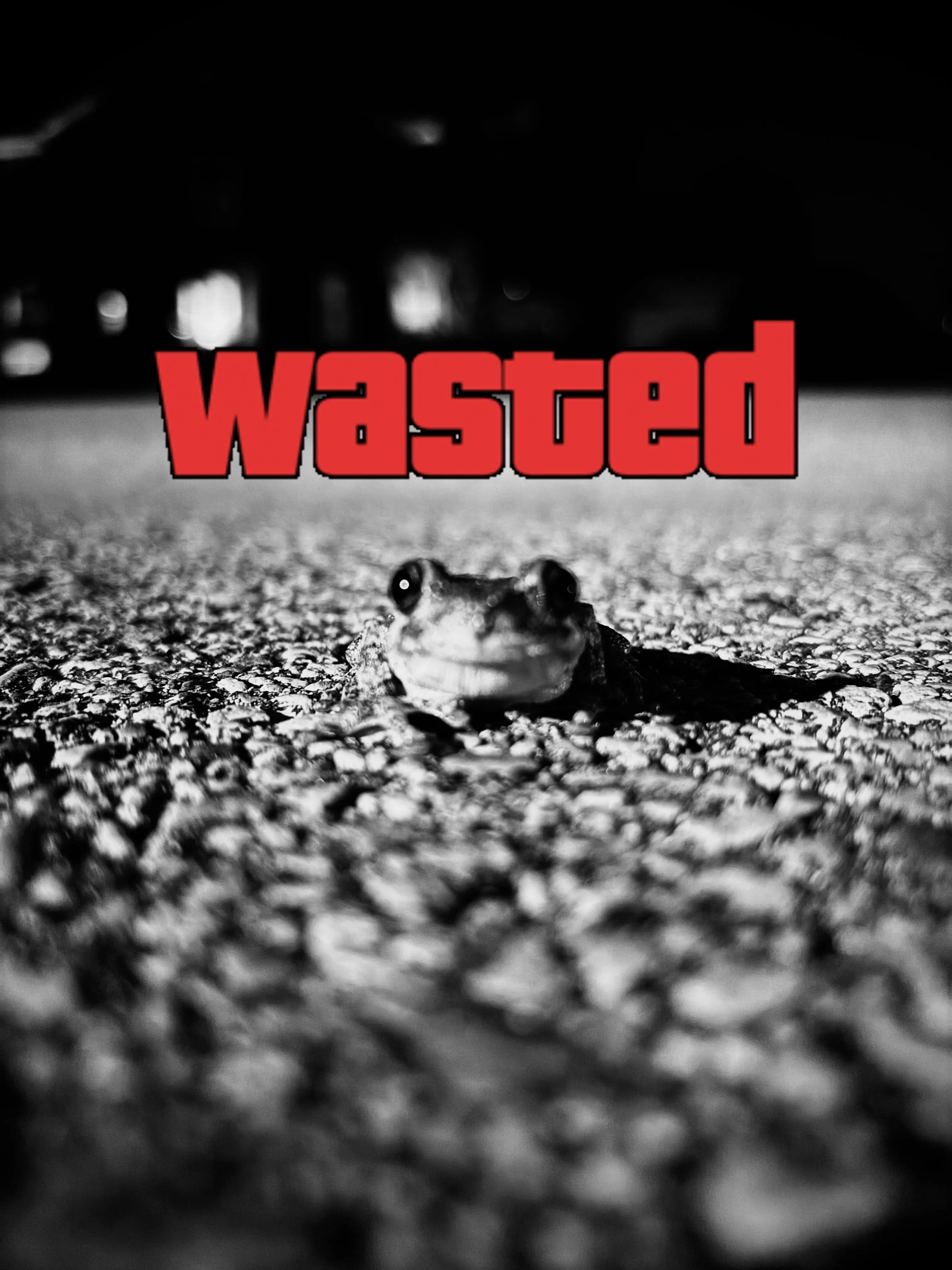 GTA Wasted Meme #105 with the wasted filter applied.